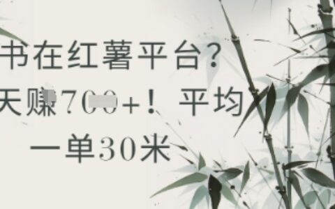 抄书在小红薯平台？平均一单30米，一天收益几张！