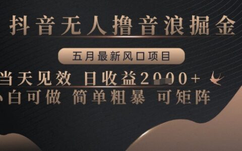 抖音无人撸音浪掘金，五月最新风口项目，当天见效，日收益多张，小白可做简单粗暴可矩阵【揭秘】