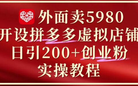 外面卖5980开设拼多多虚拟店铺：单日引流200+创业付费粉实战教程