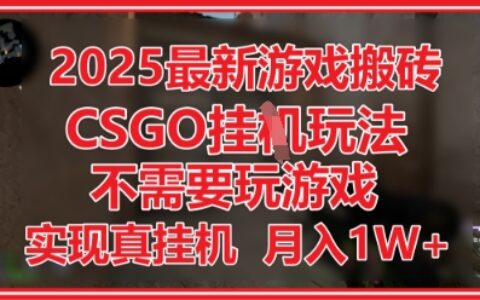 2025最新游戏搬砖，CSGO挂G，不需要玩游戏，实现真挂G，月入1W+【揭秘】