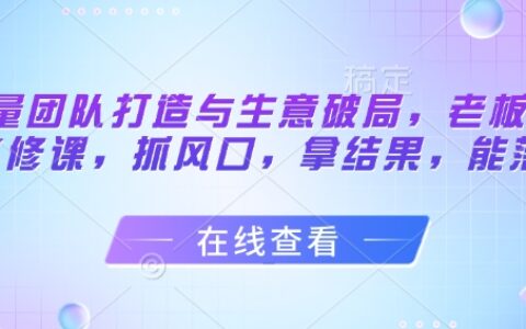 流量团队打造与生意破局，老板流量必修课，抓风口，拿结果，能落地
