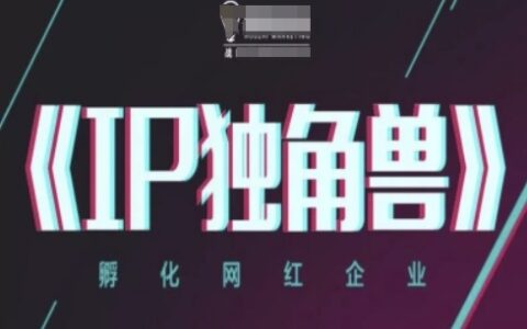 IP独角兽，孵化网红企业，ip教程