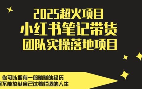 2025超火项目，副业最佳选择，小红书笔记带货团队实操落地项目，，轻松日入5张