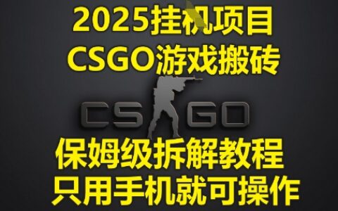 2025挂G项目，CSGO游戏搬砖，保姆级拆解教程，只用手机就可操作【揭秘】