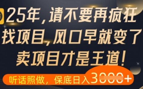 什么？25年你还在疯狂找项目做，醒醒吧，看完这些你全都懂了【揭秘】