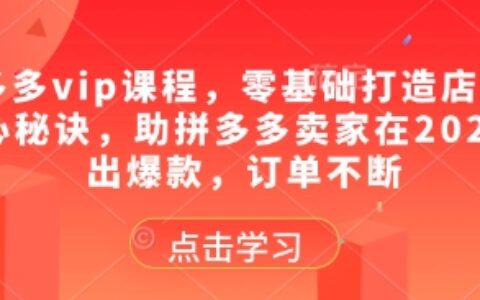拼多多vip课程，零基础打造店铺的核心秘诀，助拼多多卖家在2025卖出爆款，订单不断