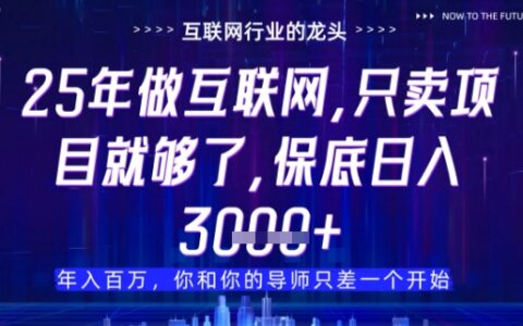 什么！25年你还在找项目做？风口早就变了，卖项目才是稳挣不赔【揭秘】