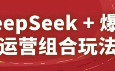 DeepSeek+爆品运营组合玩法，2025淘系精品课