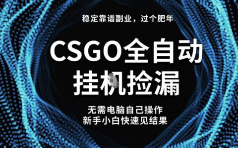 【稳定副业】全球最热门游戏CSGO全自动捡漏，最新玩法，新手小白日入5张+【揭秘】