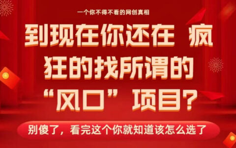 马上26年了，你还在找所谓的风口项目？别傻了，看完这个你全都懂了！【揭秘】