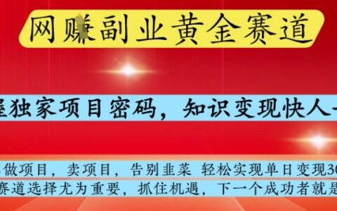 网创副业黄全赛道，掌握独家项目密码，知识变现快人一步，告别韭菜轻松实现单日变现1k+【揭秘】