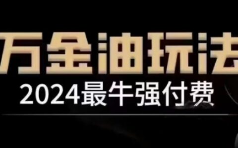 2024最牛强付费，万金油强付费玩法，干货满满，全程实操起飞（更新25年04月）