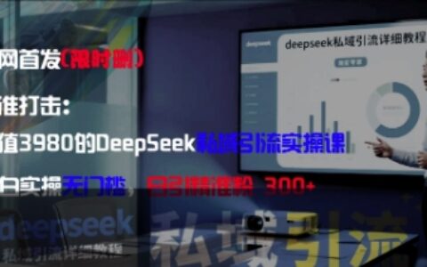 精准打击：价值3980的DeepSeek私域引流实操课，小白实操无门槛，日引精准粉300+