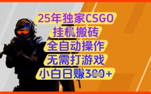 25年独家CSGO挂G搬砖，全自动操作，无需打游戏，小白日入3张+【揭秘】