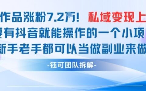 抖音私域项目23条作品涨粉7.2W，私域变现1W