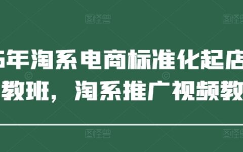 2025年淘系电商标准化起店流程私教班，淘系推广视频教程