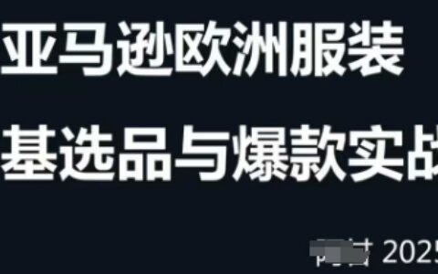 跨境电商选品案例24-25年，聚焦跨境电商选品策略与运营优化，助力卖家挖掘蓝海市场