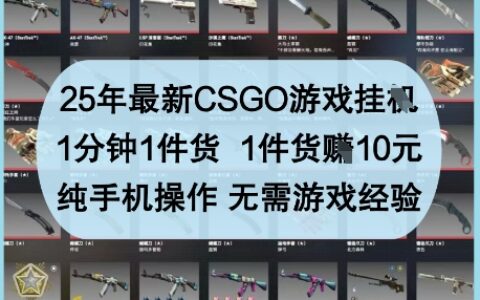 25年最新CSGO游戏挂G，1分钟1件货，1件货挣10元，纯手机操作，无需游戏经验【揭秘】