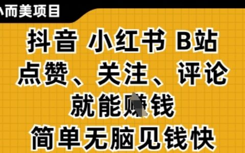 小而美的项目，抖音小红书B站视频点赞、关注、评论就能挣钱，简单无脑立见收益，妥妥的零撸项目【揭秘】