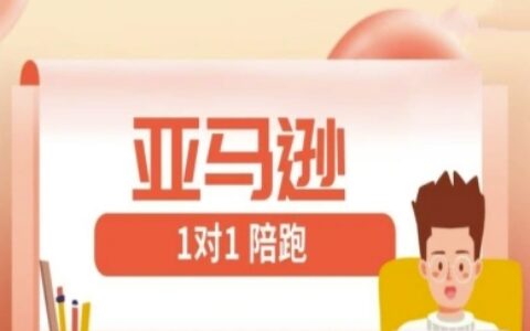 亚马逊1对1陪跑课(FBA/FBM精铺)跨境亚马逊教程