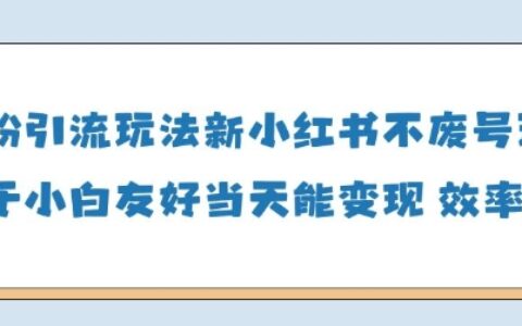 男粉引流玩法(新)，玩法友好做的好当天就能变现