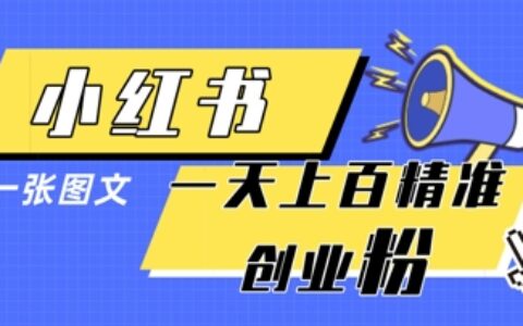 小红书模版一张图片一天轻松引流上百创业粉
