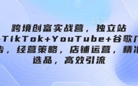 跨境创富实战营，独立站+TikTok+YouTube+谷歌广告，经营策略，店铺运营，精准选品，高效引流