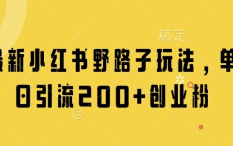 最新小红书野路子玩法，单日引流200+创业粉