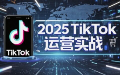 2025TikTok电商运营，掌握TikTok店铺运营核心技巧，实现低成本高转化