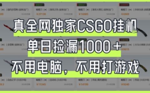 真全网独家CSGO挂G，单日捡漏1k+【揭秘】