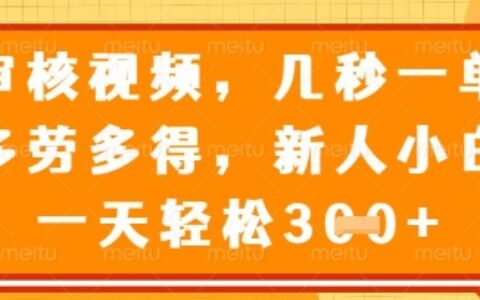 最新审核视频，几秒一单，多劳多得，新人小白一天轻松3张【揭秘】
