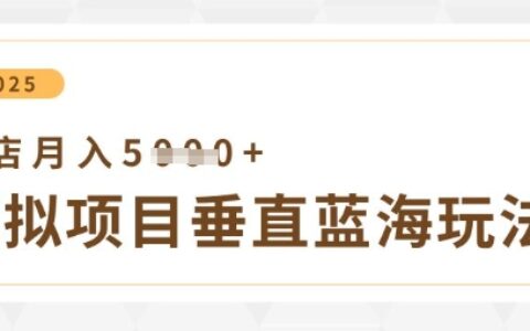 虚拟项目垂直玩法，实现单店月入5k+