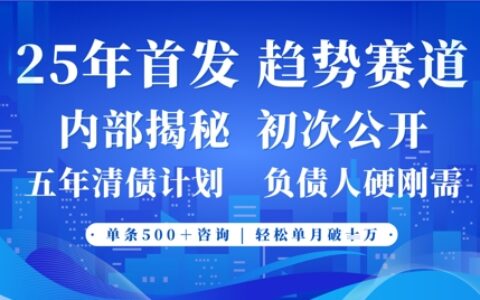 2025年首次公开，真正的事业型赛道，客咨不断，单月轻松破W