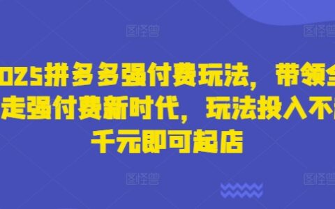 2025拼多多强付费玩法，带领全网走强付费新时代，玩法投入不超千元即可起店