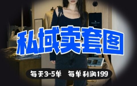 私域卖套图每天3-5单，每单利润99