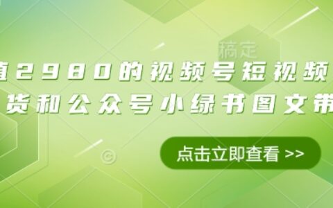 价值2980的视频号短视频橱窗带货和公众号小绿书图文带货