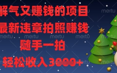 解气又挣钱的项目，最新违章拍照挣钱，随手一拍，轻松收入数张【揭秘】