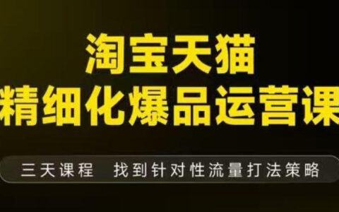 淘宝天猫精细化爆品运营（9月12-14杭州线下课），全方位拆解爆品打造逻辑【音频+字幕+文档】