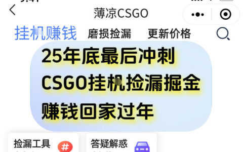 12月年底抓紧最后一个月，用CSGO游戏挂G捡漏掘金賺钱掘金，一部手机轻松日入5张+【揭秘】