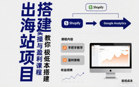 小淘出海站项目，搭建实操与盈利课程，手把手教你用极低成本搭建