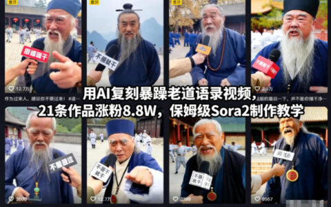 用AI复刻暴躁老道语录视频，21条作品涨粉8.8W，保姆级Sora2制作教学