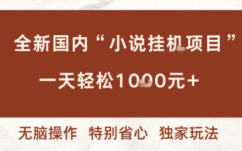 全新国内小说挂G项目，多窗口无脑跑，一天轻松1k+，特别省心【揭秘】