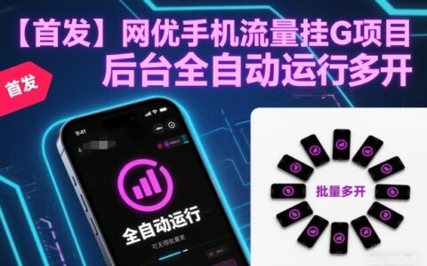 【首发】网优手机流量挂G项目，后台全自动运行，可无限批量多开【揭秘】
