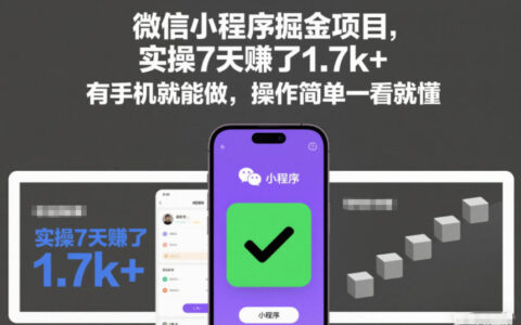 微信小程序掘金项目，实操7天賺了1.7k+，有手机就能做，操作简单一看就懂【揭秘】