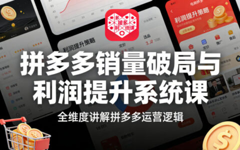 拼多多销量破局与利润提升系统课，全维度讲解拼多多运营逻辑