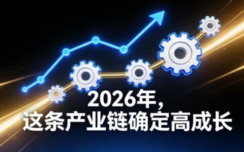 付费文章：2026年，这条产业链确定高成长