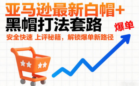 亚马逊最新白帽+黑帽打法套路，安全快速上评秘籍，解锁爆单新路径