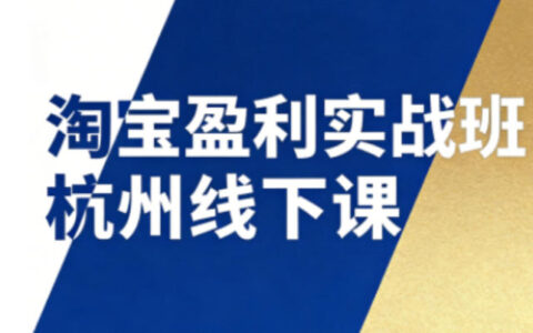 淘宝盈利实战班杭州线下课12月26-28日（音频+字幕），帮你掌握SOP流程+12门核心技术