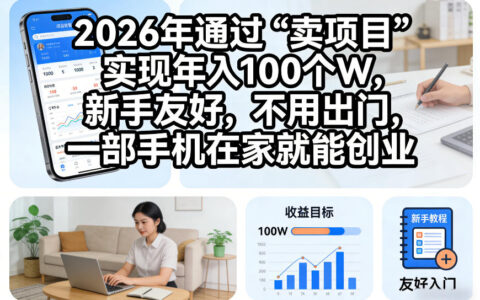 2026年通过“卖项目”实现年入100个W，新手友好，不用出门，一部手机在家就能创业【揭秘】