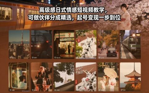 高级感日式情感短视频教学，可做伙伴分成精选，起号变现一步到位
